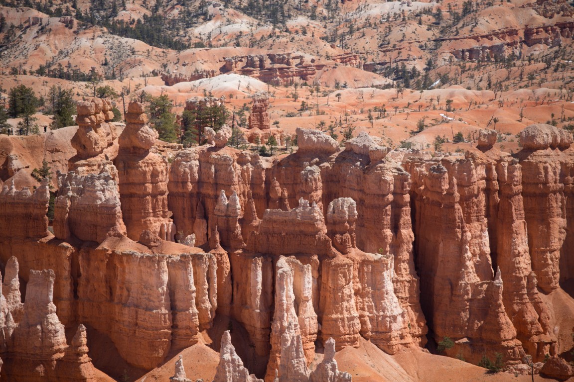 hoodoosbrycetracyblowers