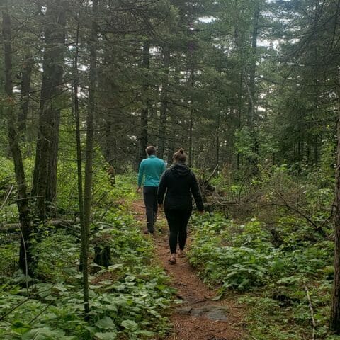 northshoremn hiking northshorecampingco