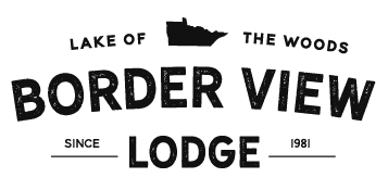 borderviewlogo black